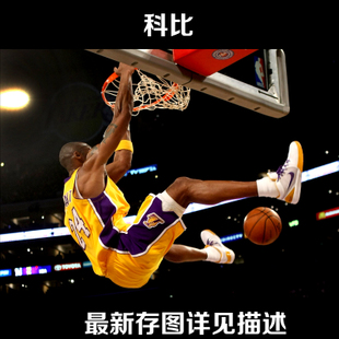 最高学历证书编号怎么获取